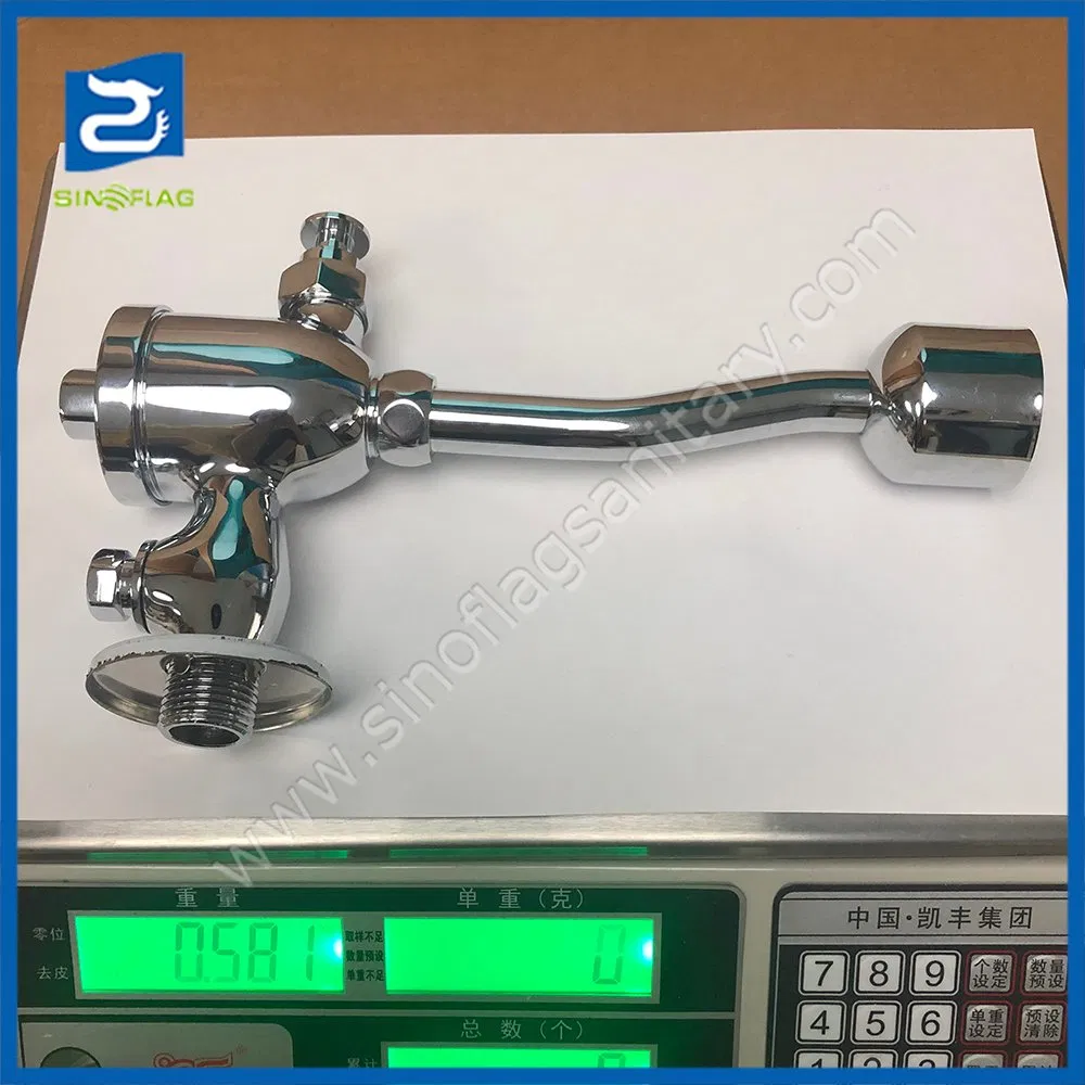 Sanitary Faucet Hand Push Time Delay Toilet Urinal Flush Valve