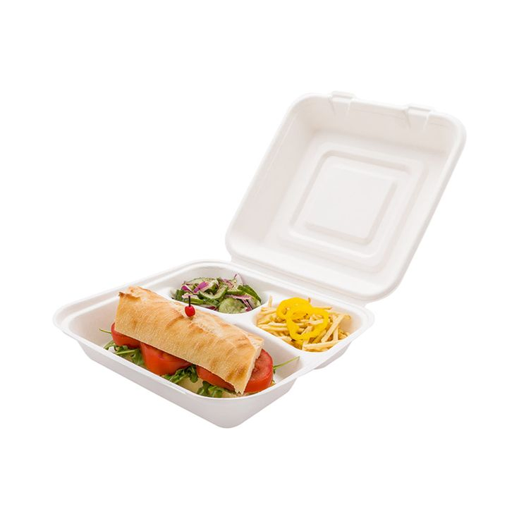 9" Compostable Bagasse Lunch Box Sugarcane Food Container