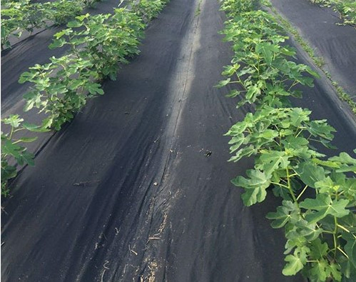 High-Density Weed Suppression Spunbond Mat