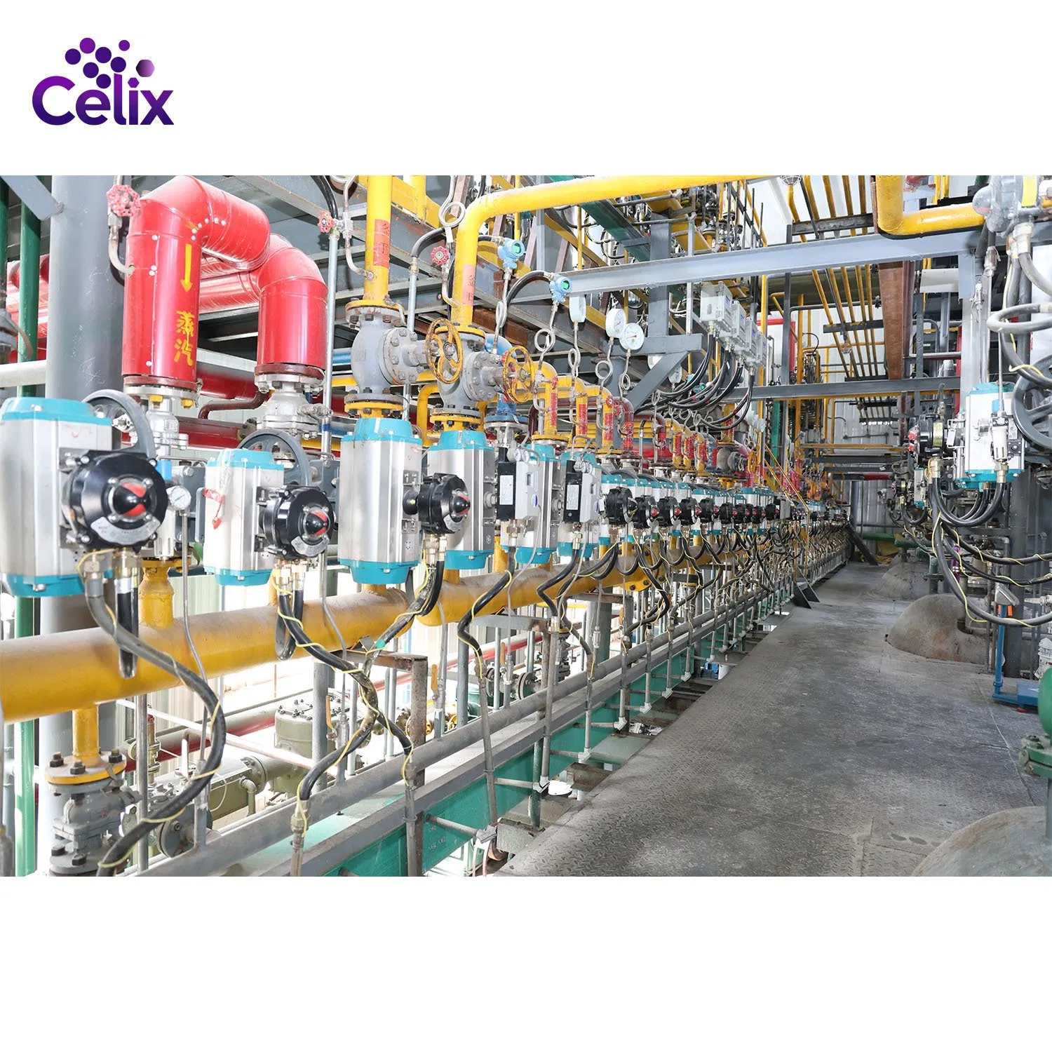 Good Price Calcium Formate Celix CF-909 for Repair Mortar in Construction