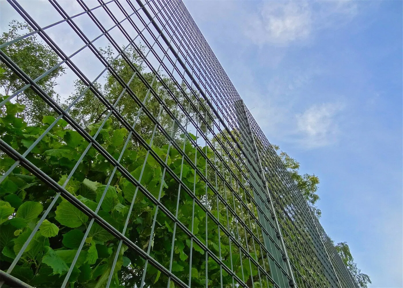 Durable 2D Fence Panel for Secure Outdoor Spaces and Gardens