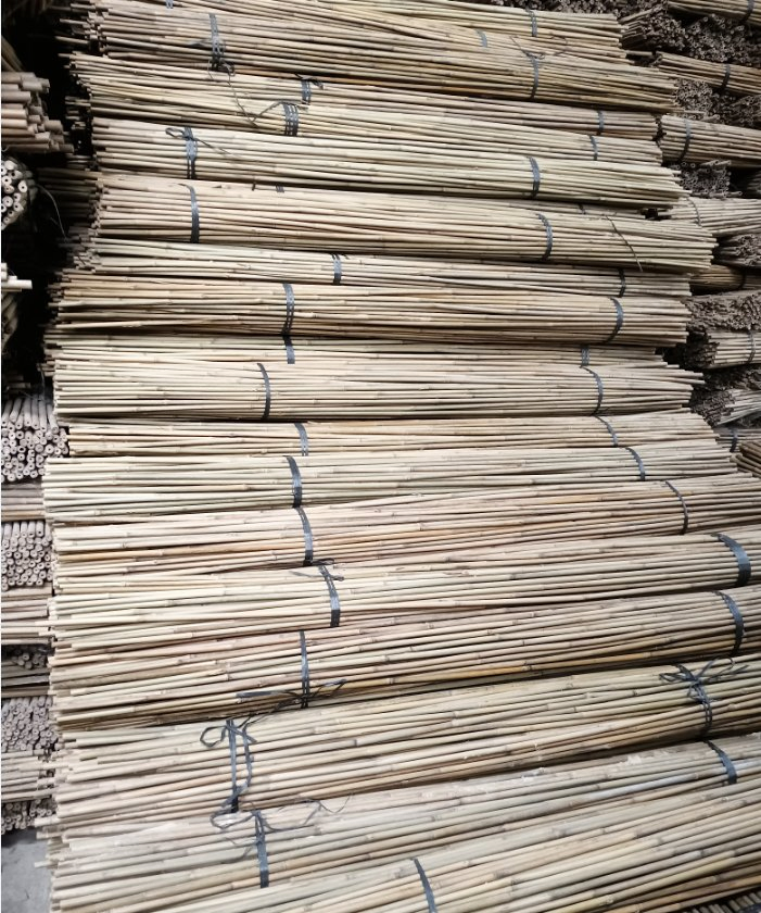 Tonkin Cane Bamboo High-Quality Iron Bamboo From China/Tea Bamboo