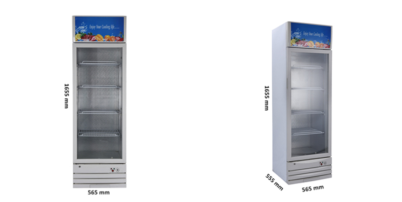 Upright Showcase with Glass Door and 12V DC Compressor LC-268 Solar Panel Battery Cooler