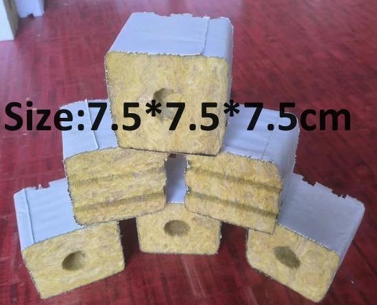 2025 New Seeds Growing Hydroponic Rock Wool Plant Cubes with 2 Holes
