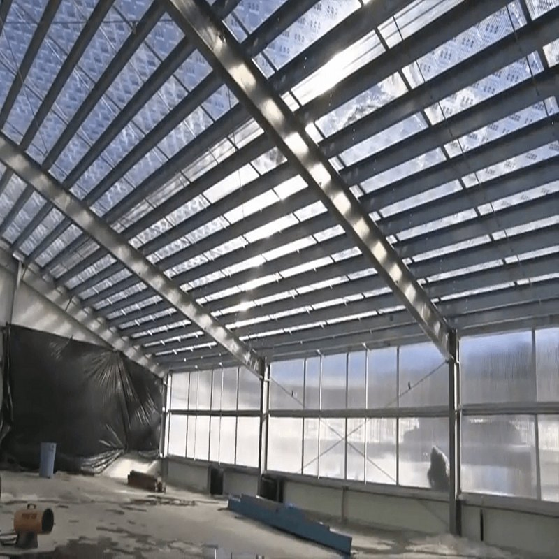 Economical Galvanized Steel Structure Poultry House for Starter Farms