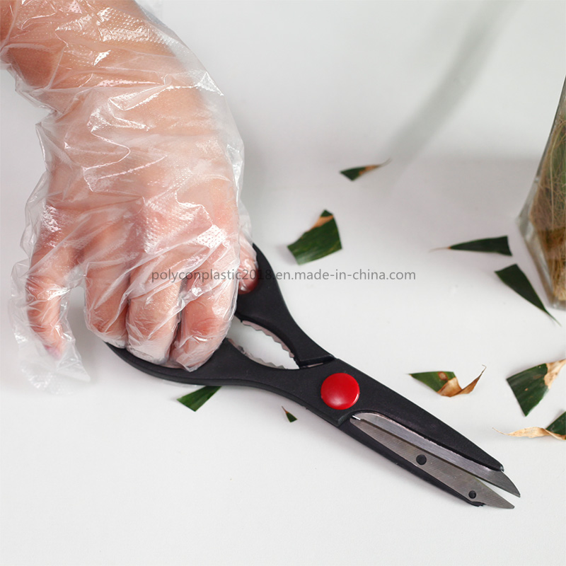 Food Service Disposable Kitchen Gloves Cooking Kitchen Gloves