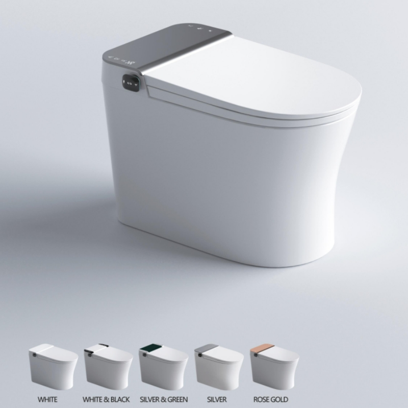 Very Simple, Popular and Fashionable Ceramic Intelligent Toilet