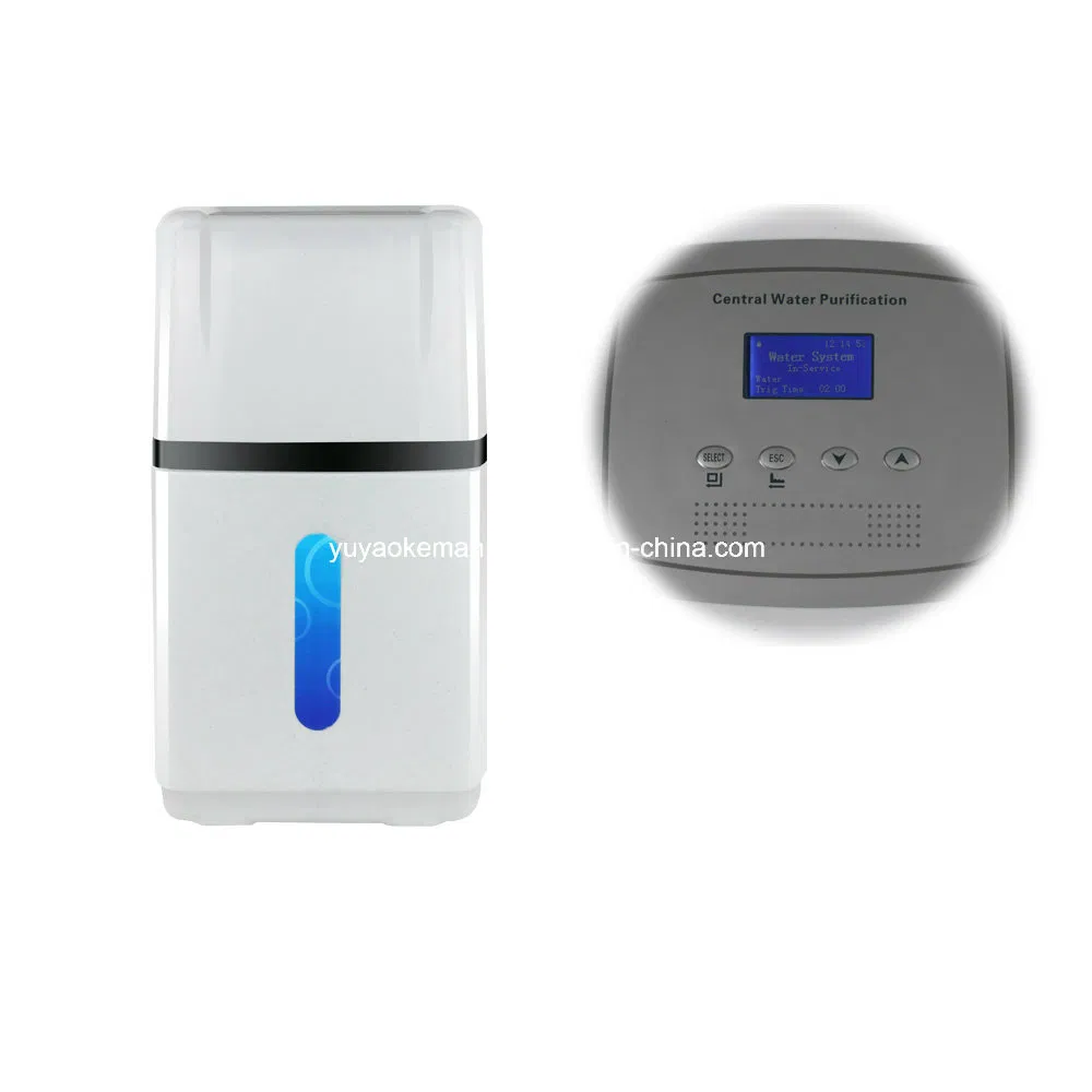 Manufacturer 1 Ton Central Water Purification