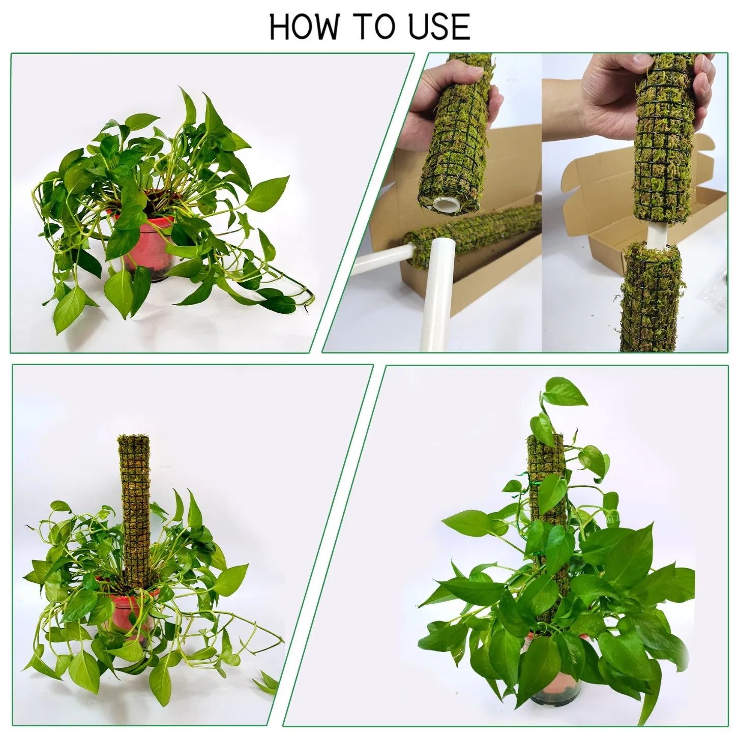 Tropical Plant-Suitable Green Moss Plant Support Pole for Aroid Climbers Bird of Paradise Vertical Growth