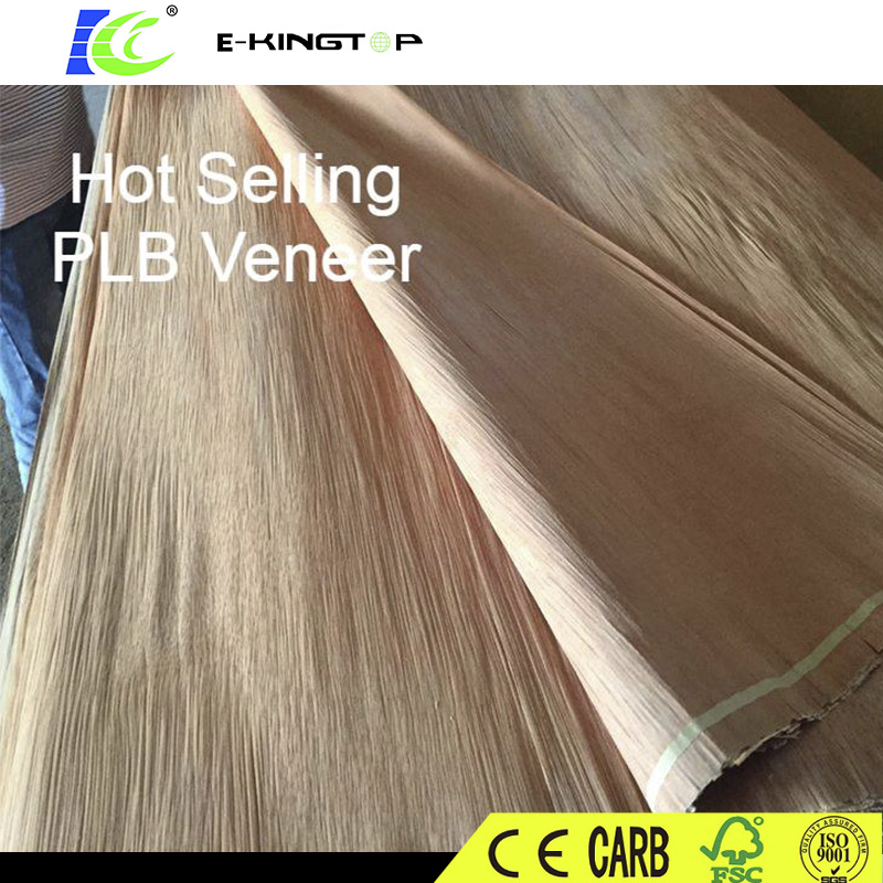 Natural Veneer, Plb Wood Veneer, 0.3mm for India Plywood Factory
