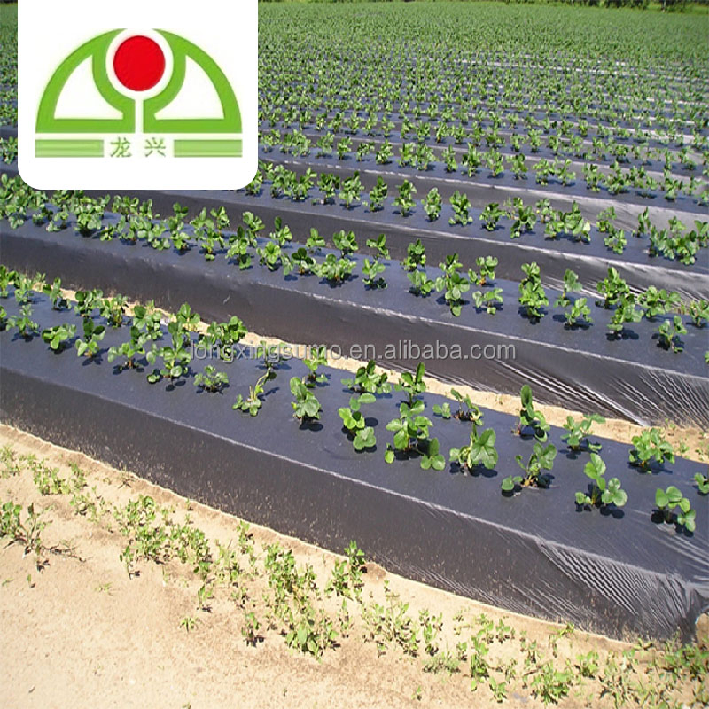 Black/Green/White Compostable 100% Virgin PP/PE/Plastic Woven Geotextile/Ground Cover/Anti Weed Barrier/Control Mat for Agriculture/Garden/Landscape