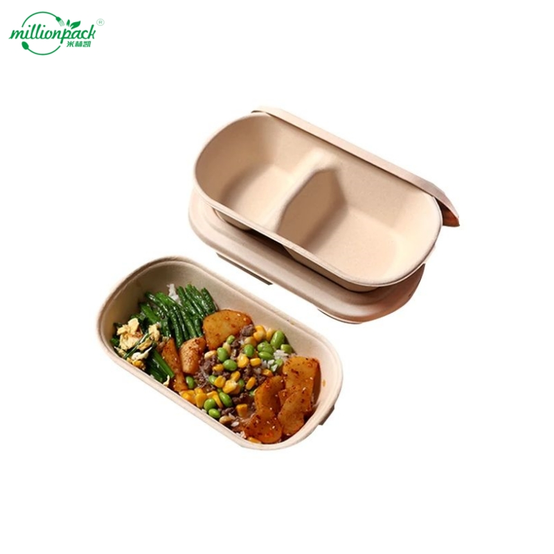 Custom Printed Disposable Square Bagasse Box for Brands with Matte Finish