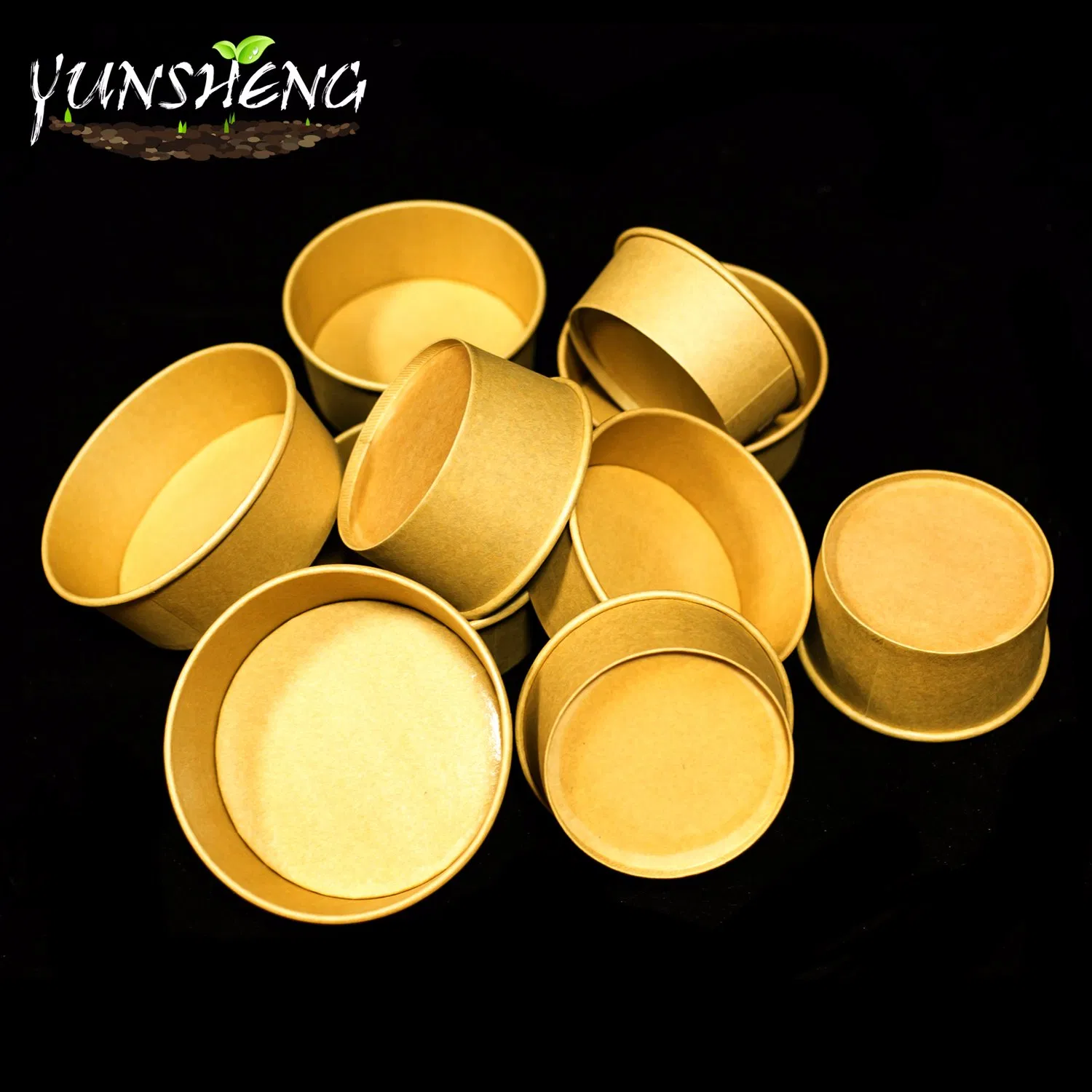 Disposable Tableware Take Away Food Container Noodle Bowl