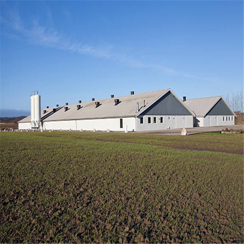 Prefabricated Steel Frame Construction Structure Poultry Farm Broiler Prefab Chicken House with Full Set Poultry Equipment for Chicken Factory