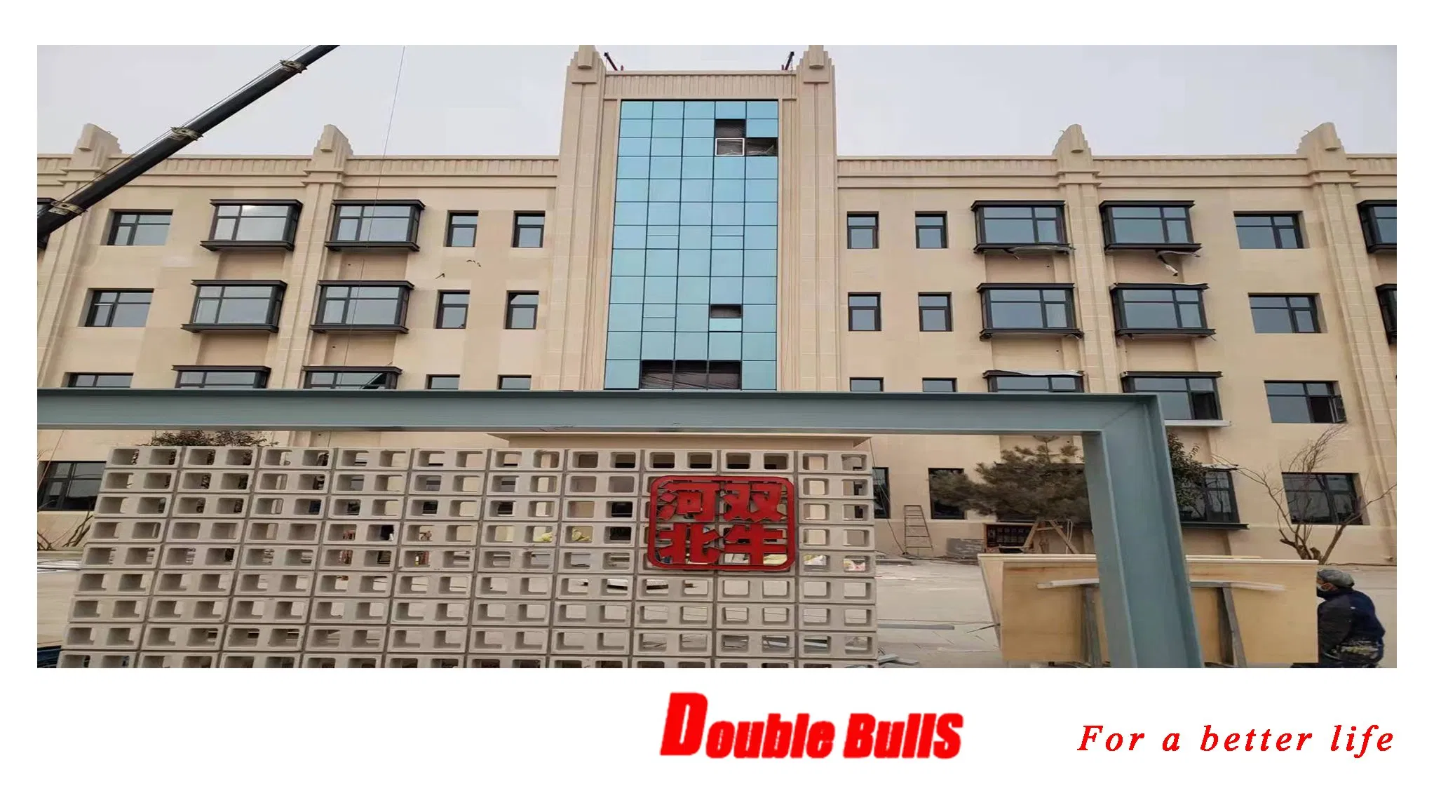 Cellulose Ether HPMC for Constructions Covering Concrete Mortar, Asia`S Biggest HPMC Producer