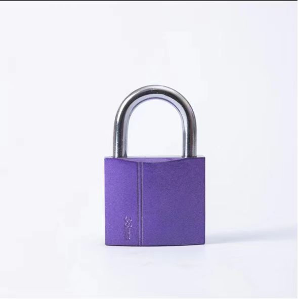 Wholesale Customizable Logo High Quality Safety 20mm 25mm 30mm Brass Padlock