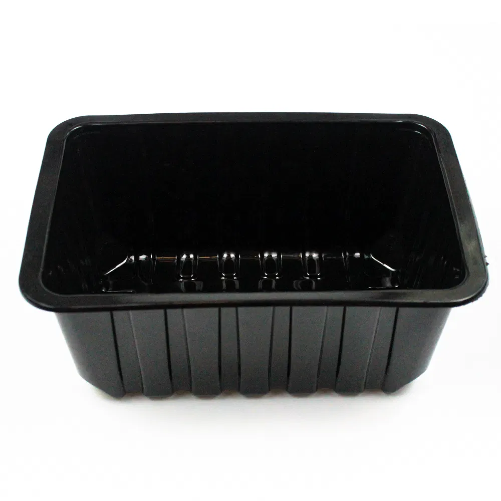 Disposable Plastic Tableware 160mm Length PP Plastic Container Black Custom for Dinner