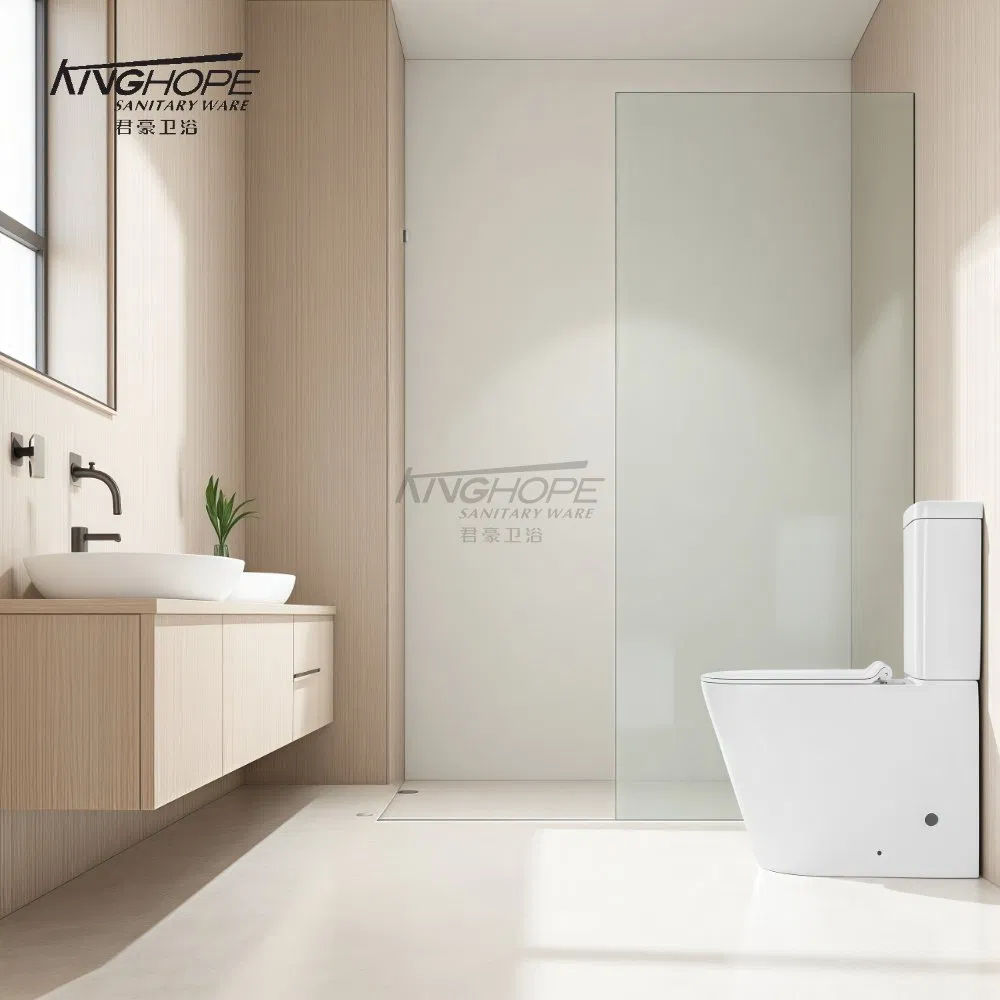 Ceramic Dual Flush Rimless Two-Piece Toilet Fast Delivery Bathroom Furniture Wc Toilet