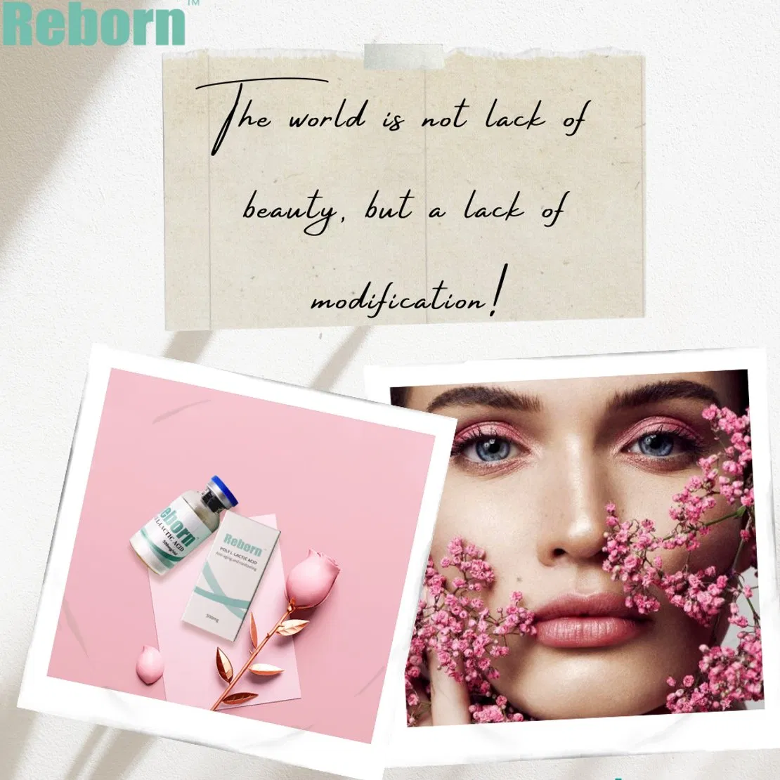 High Quality China Professional Reborn 360mg Plla Poly-L-Lactic-Acid Freeze-Dried Powder Collagen Biostimulator for Temple Cheek Enlargement Chin Contouring