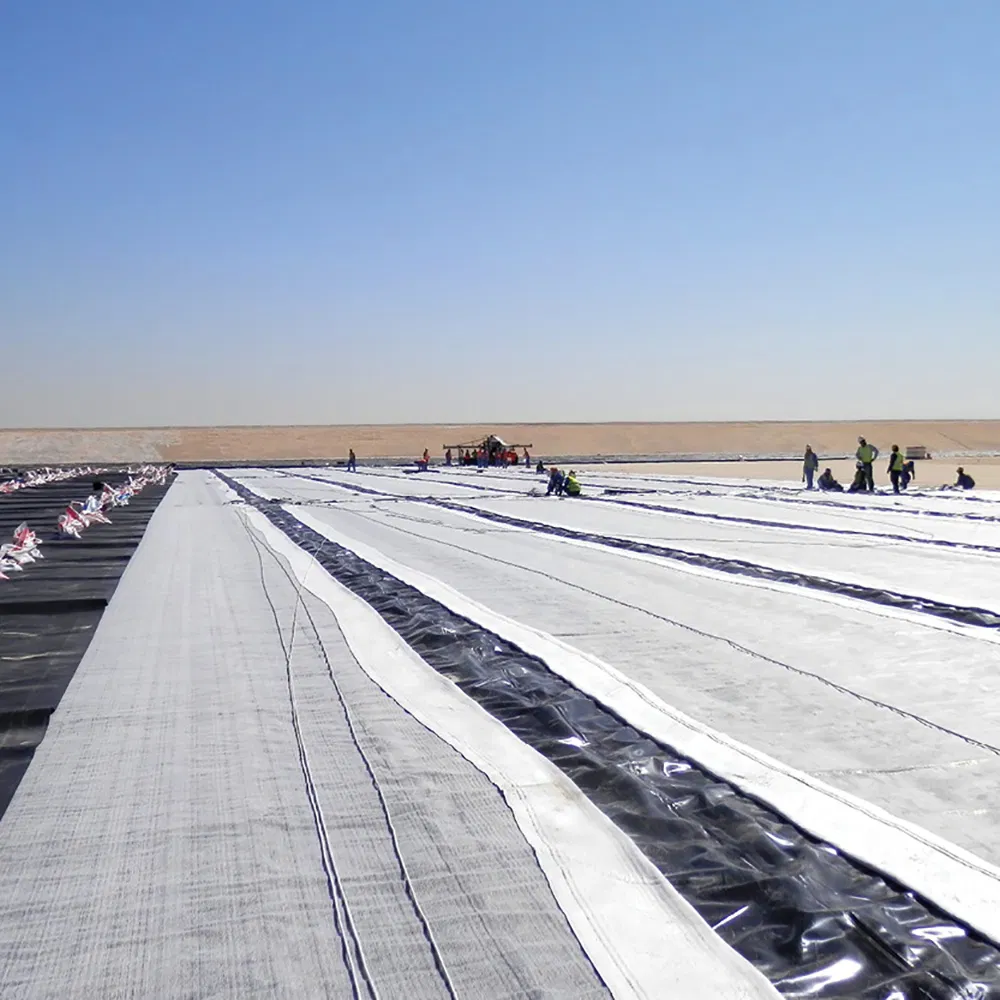 Industrial Design Gcl Liner Non-Woven Woven Geotextile for Garden Slope Drainage and Landfill Dam Liner Application