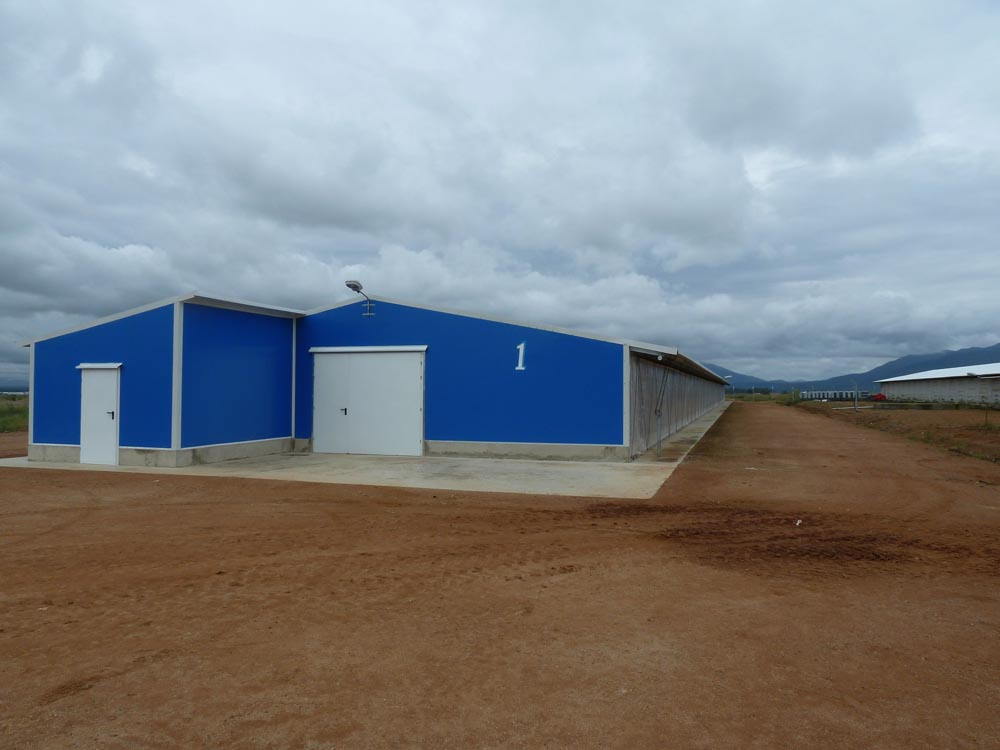 Prefabricated Industrial Construction Building Hot Deep Galvanized Steel Structure Metal Corrosion Resisting Poultry House