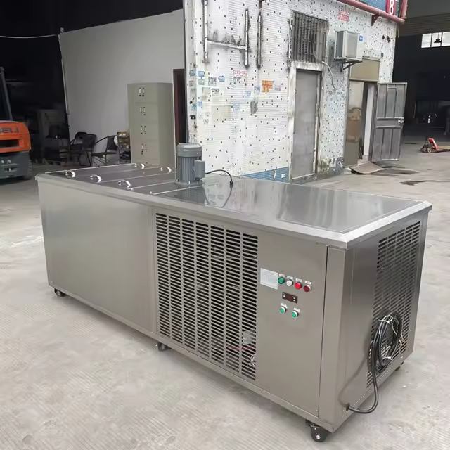 Ice Block Maker 2 Ton Ice Block Making Machine for Sale
