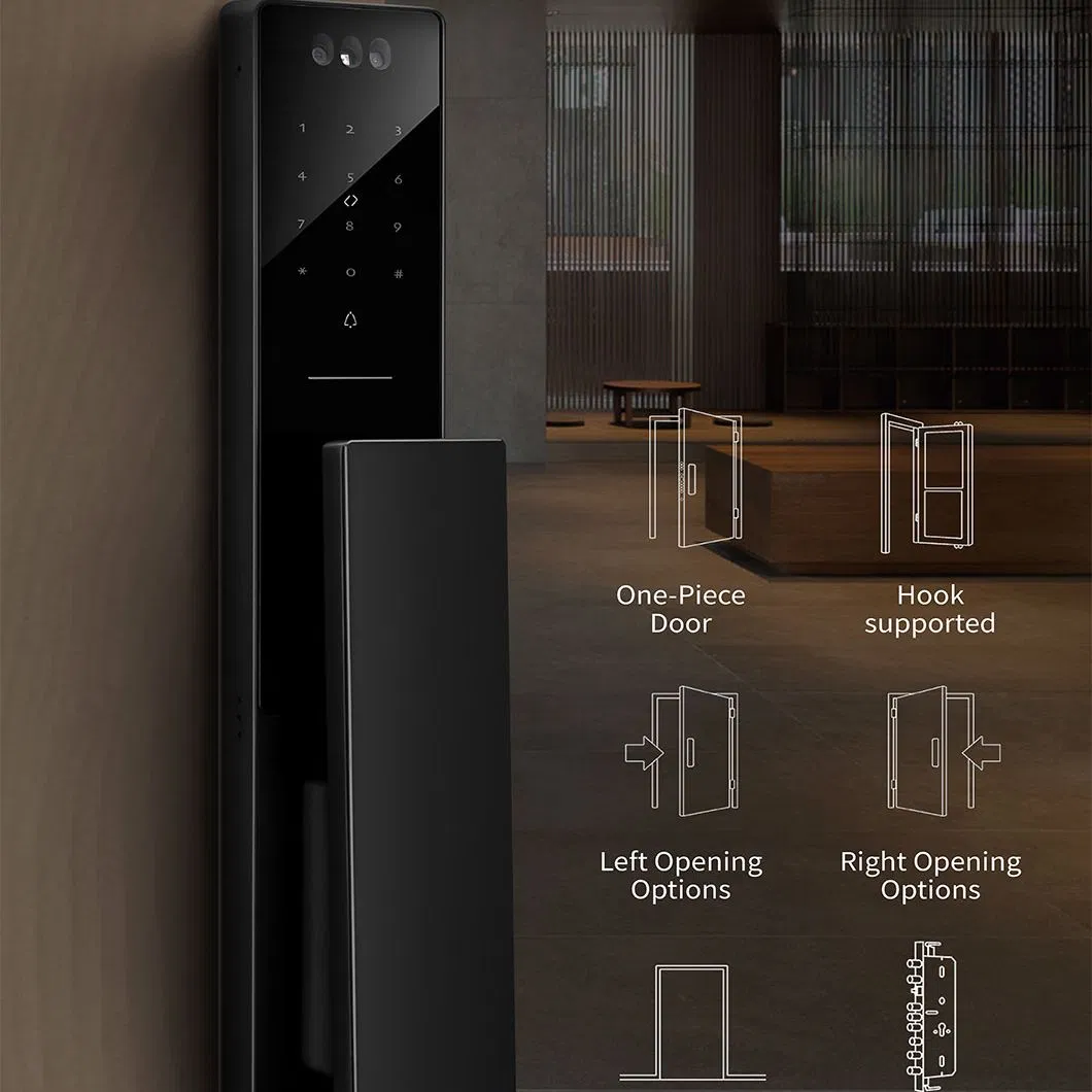 Source Factory Biometric Fingerprint Face Recognition Door Lock Camera Door Lock Sliding Door Lock for Hotel Door