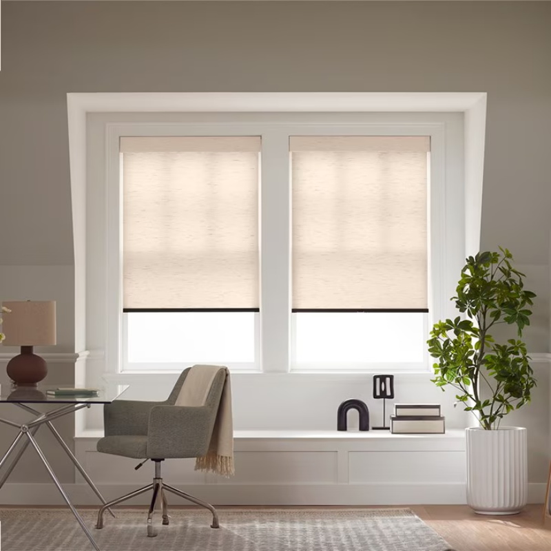 Commercial Elegant Motorized Smart Roller Blinds Windproof Automatic Window Roller Blinds for Windows