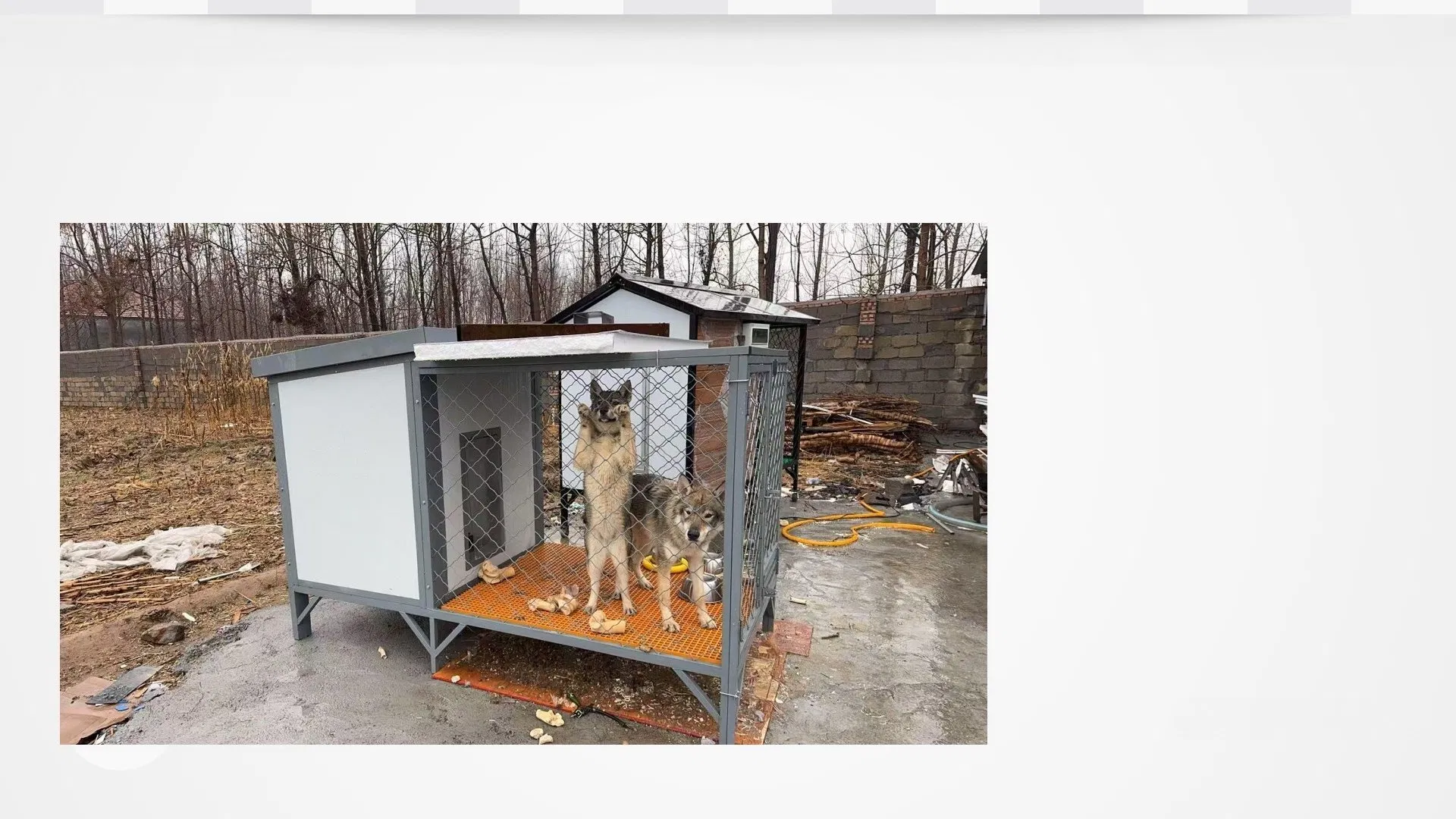 Large Wooden Dog House Outdoor and Indoor Dog Crate, Cabin Style Dog House with Porch Pet House