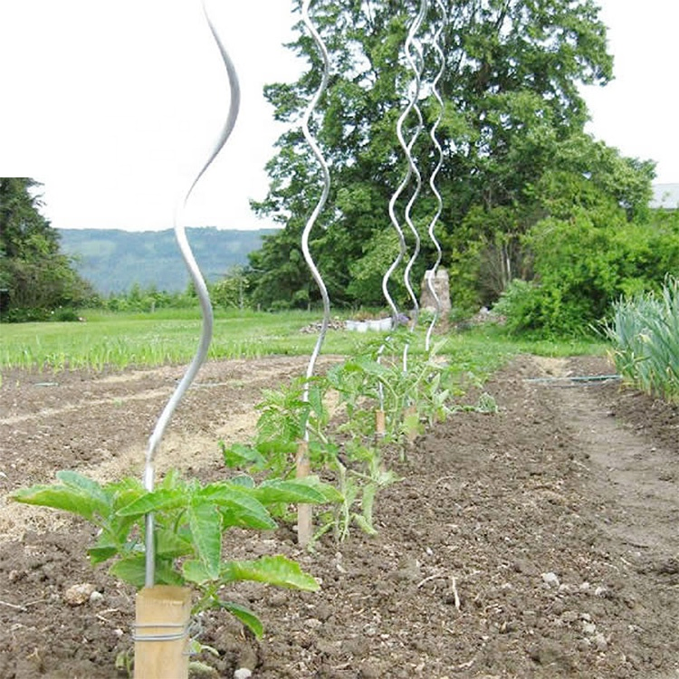 Heavy-Duty 6.0mm Galvanized Steel Tomato Support Rod 150cm
