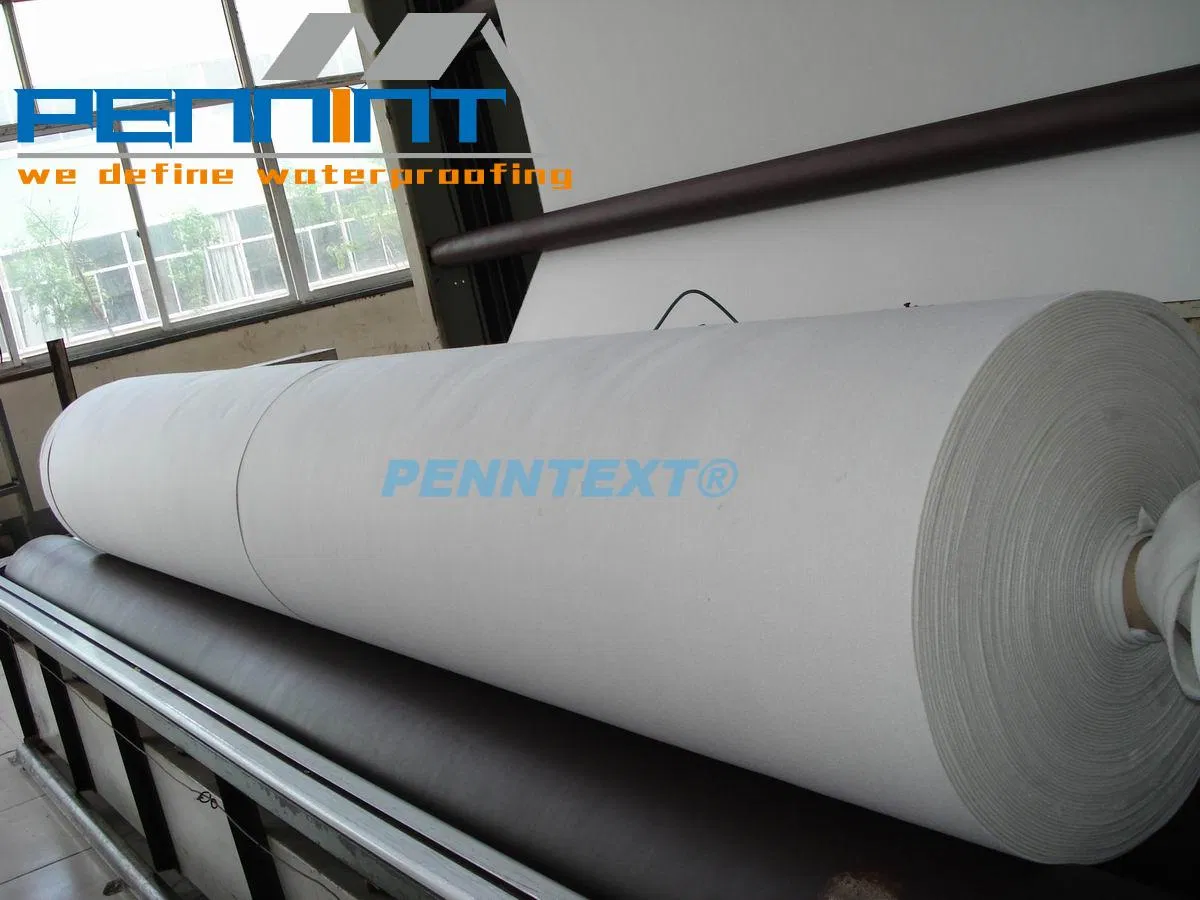 Earthwork Products Polyester PP Membrane Geotextile Filter Fabric Price
