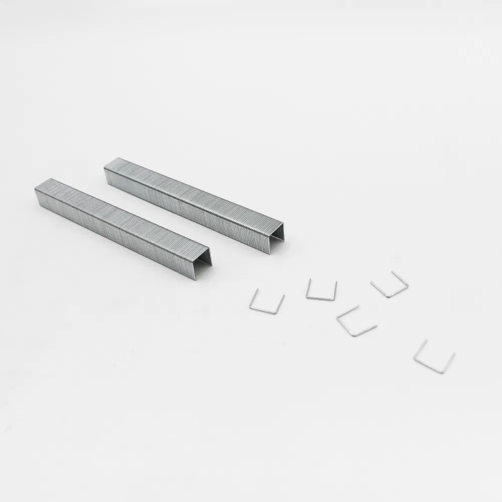 Factory Wholesale 21ga Staples U Type 8412 Staples for Upholstery