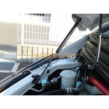 High-Quality Electrostatic Flocking Spring Liftgate Gas Strut