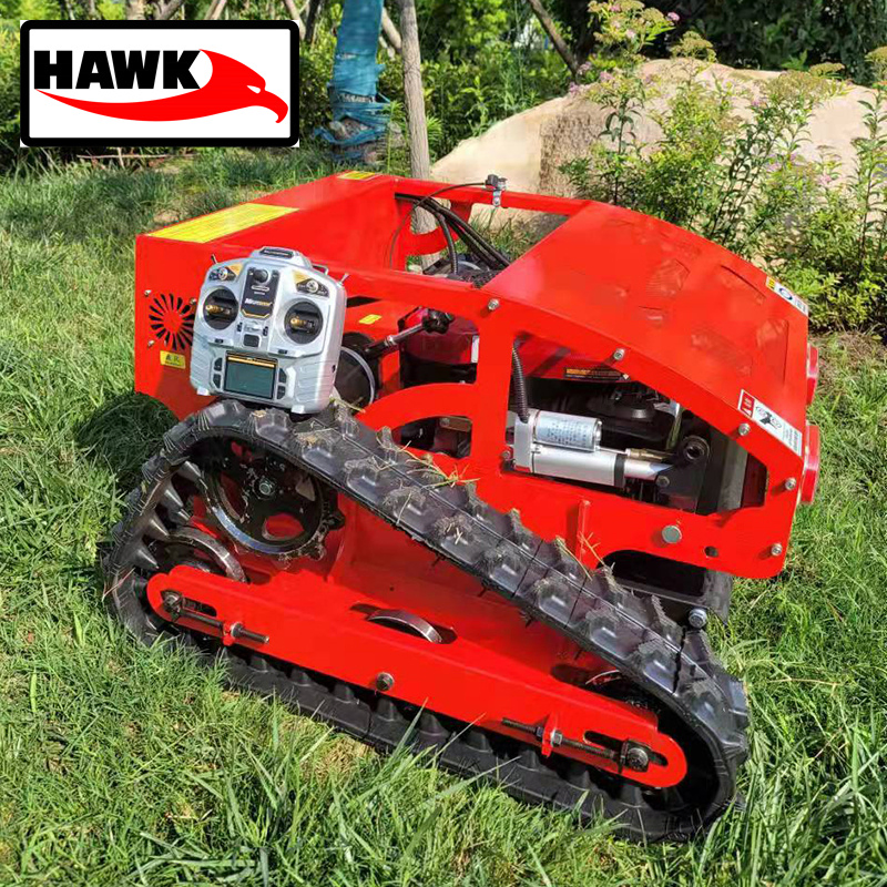 Lawn Mower Lawn Mower Price Gasoline Petrol Crawler Grass Cutting RC Robot