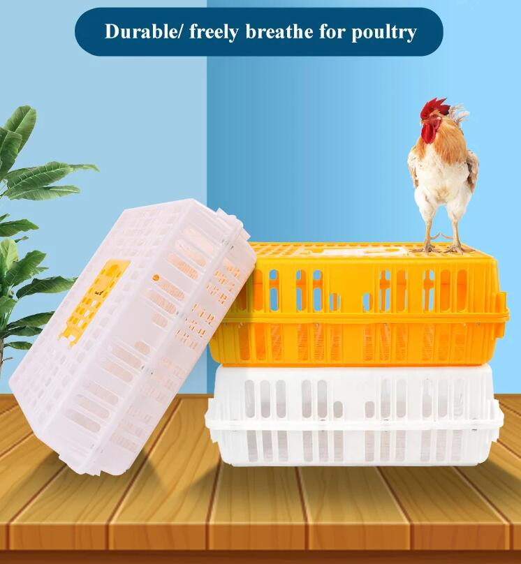 Plastic Chicken Transport Box Live Chicken Transfer Box (002)