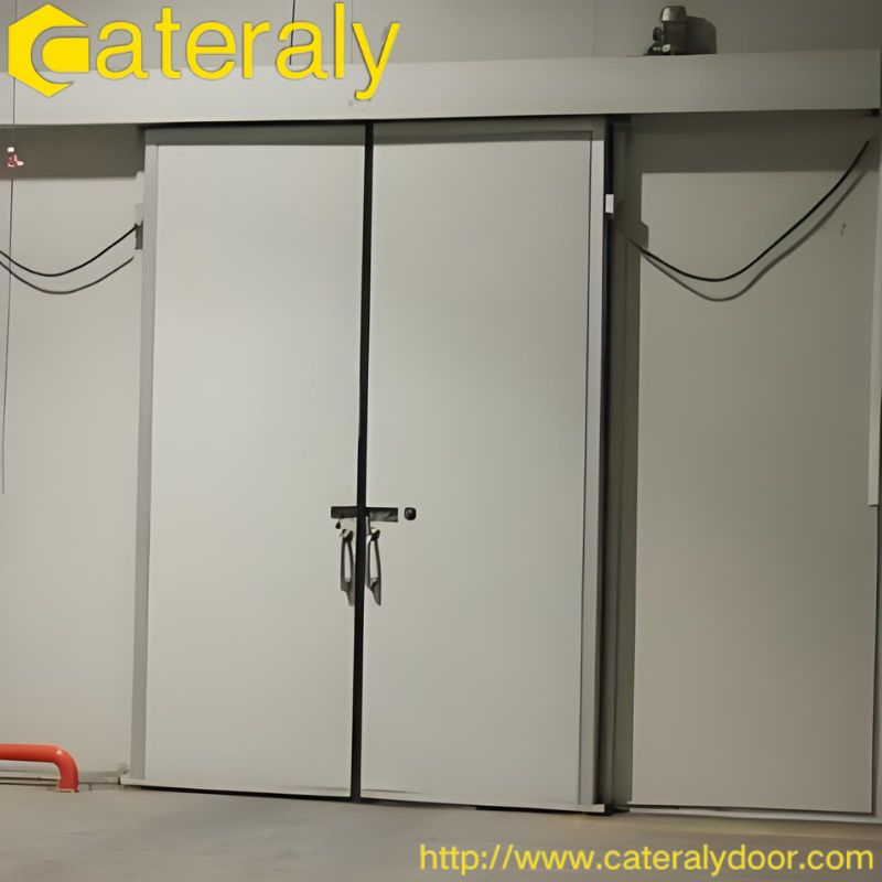 Customizable Automatic Sliding Cold Storage Door for Efficiency