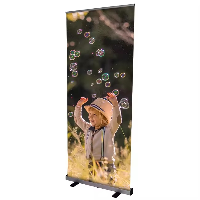 Indoor 100×200cm Tianlang Handbag 85*200cm China Roll-up Banner for Fairs