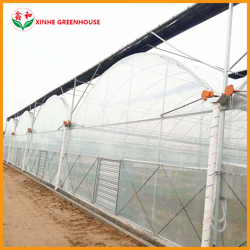 Po Film Customized Agriculture Multi Span Garden Agro Warm Greenhouses
