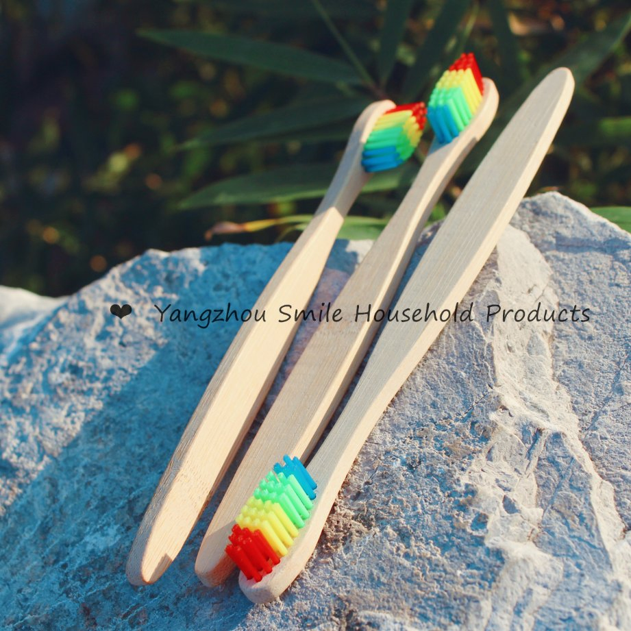 Cheaper Eco Bamboo Toothbrush for Hotel