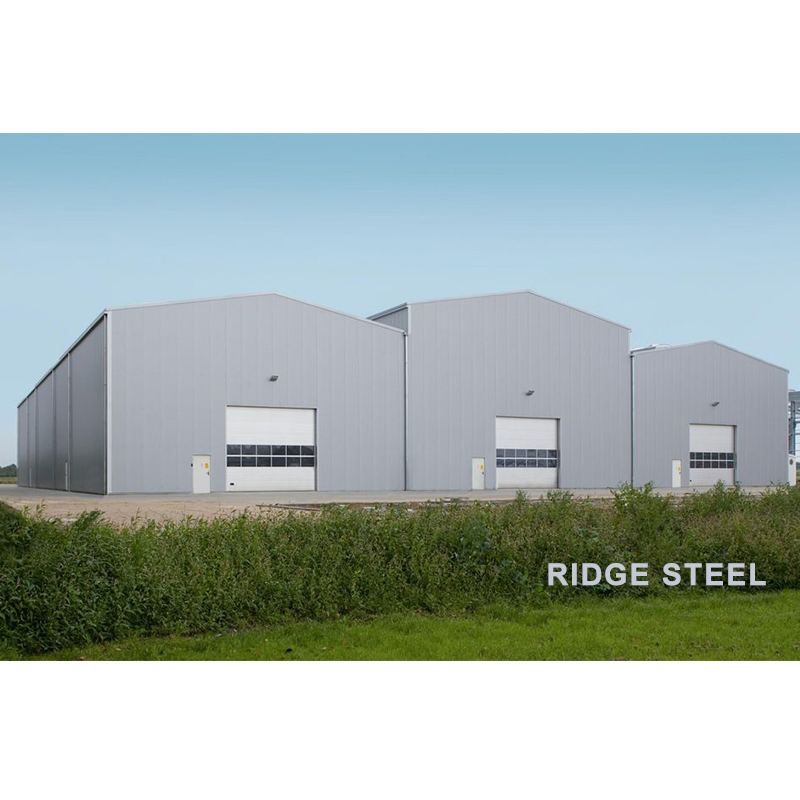 Commercial Steel Structure Building Steel Structure Sport Stadium Workshop