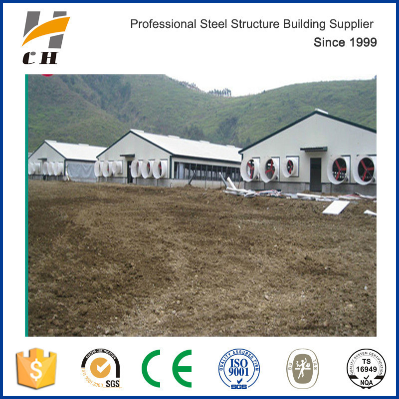 Modern Large-Scale Automatic Poultry Farm/Shed Design for Chicken
