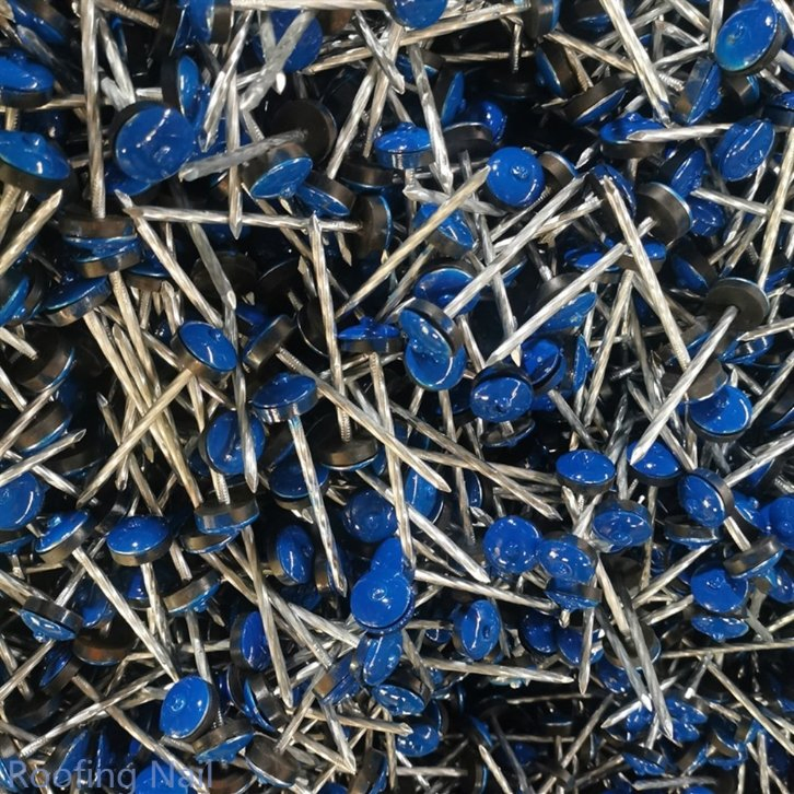 Roofing Nail for/Colorful Paint Head Electro Galvanized Polished Umbrella Head Roofing Nails