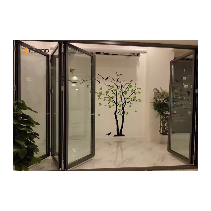 Tegood Manufacturer Windproof Glass UPVC Window Folding Doors