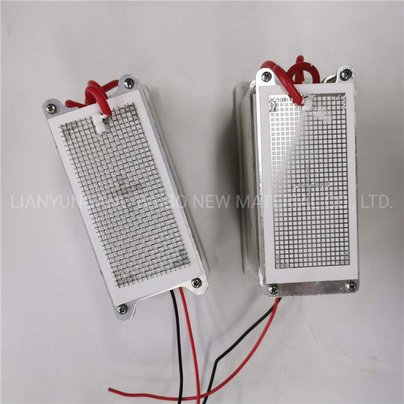 Disinfection Water Treatment Ozone Generator O3 Output 5g 10g Module Machine