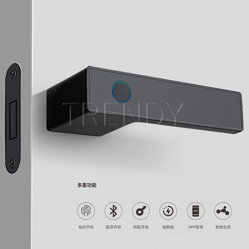 Electronic Smart Lock Handle Two Part Removable Piece Cover Door Lock Tt Tuya APP Fingerprint Door Handle (STS006)