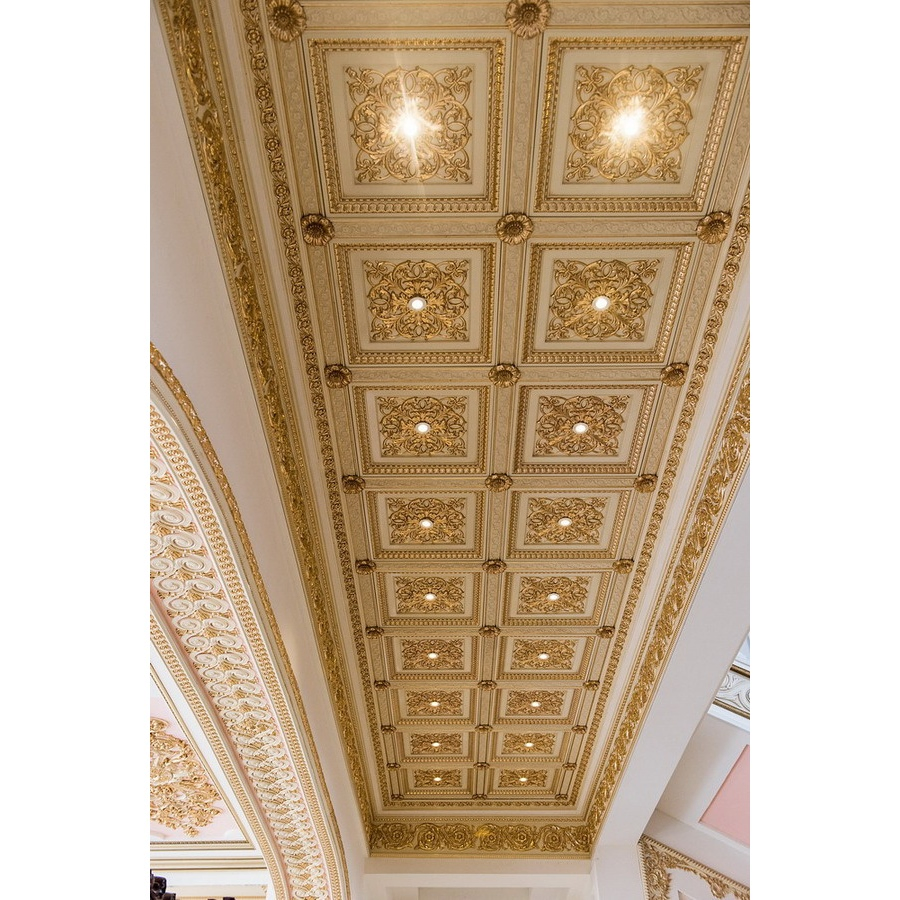 Factory Price New Square Polystyrene Art Ceiling