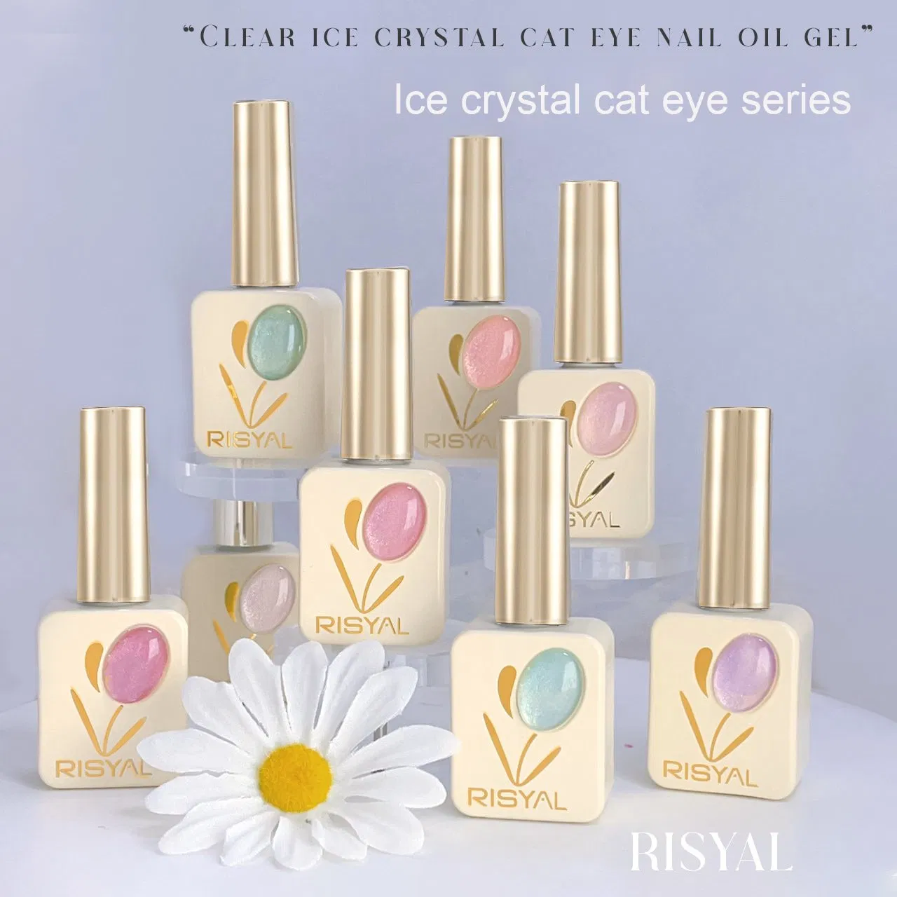 New Wholesale Cat Eye Jelly Ice Transparent UV Phototherapy Nail Polish Full for Nail Salon