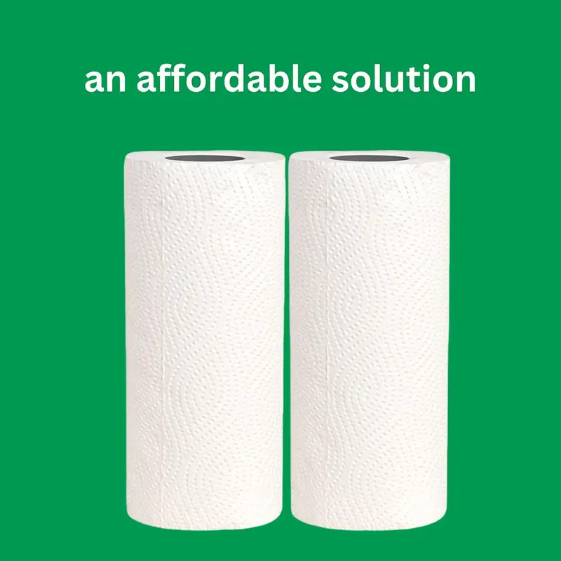 Tad Ultra-Absorbent 2-Ply Kitchen Paper Tissue Rolls - 6 Pack