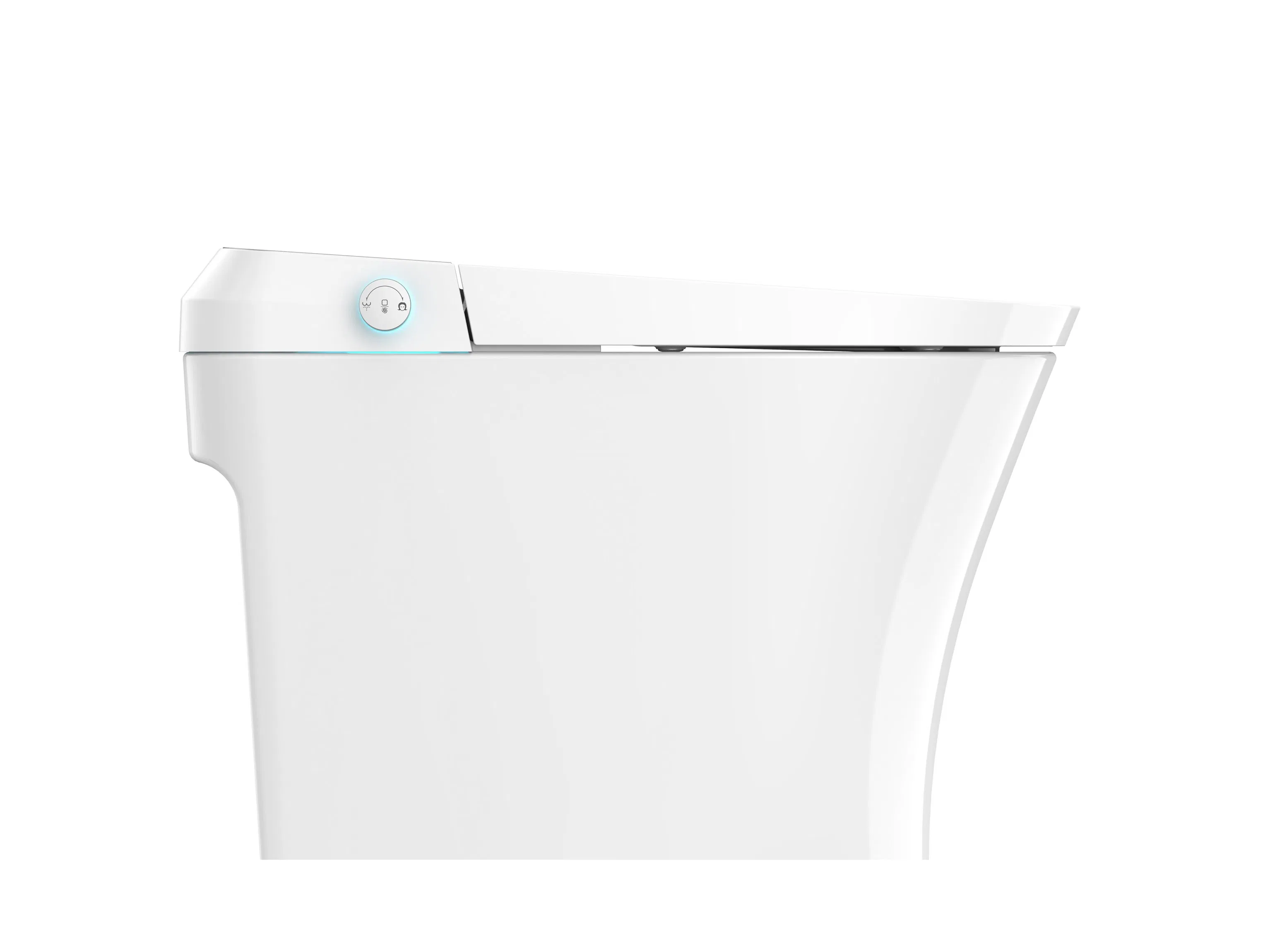 Contemporary Electronic One-Piece Smart Toilet with Automatic Flushing, Instant Heat, Night Light, Dryer