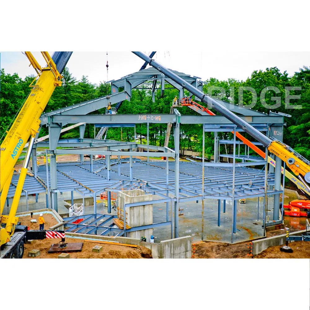 China Prefab Steel Structure Building Modern Frame Building for Sale
